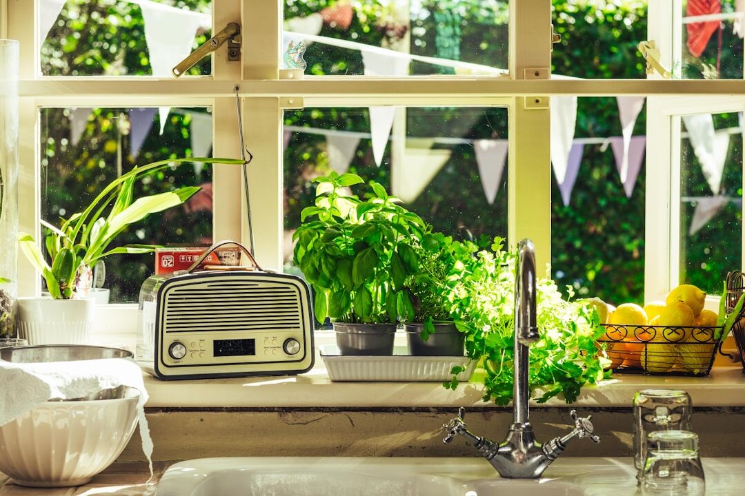fresh herbs in kitchen